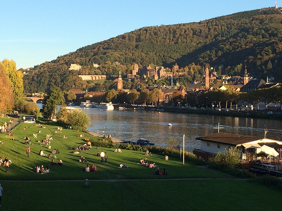 Neckarwiese
